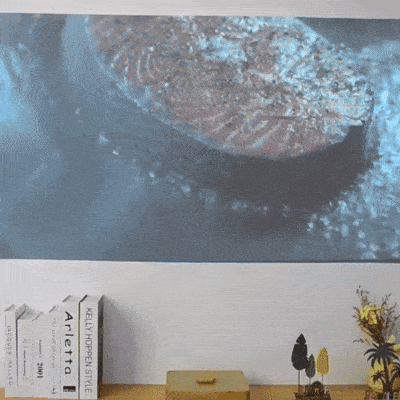 Vioris Clarion – Mach Dir überall Dein eigenes Kino