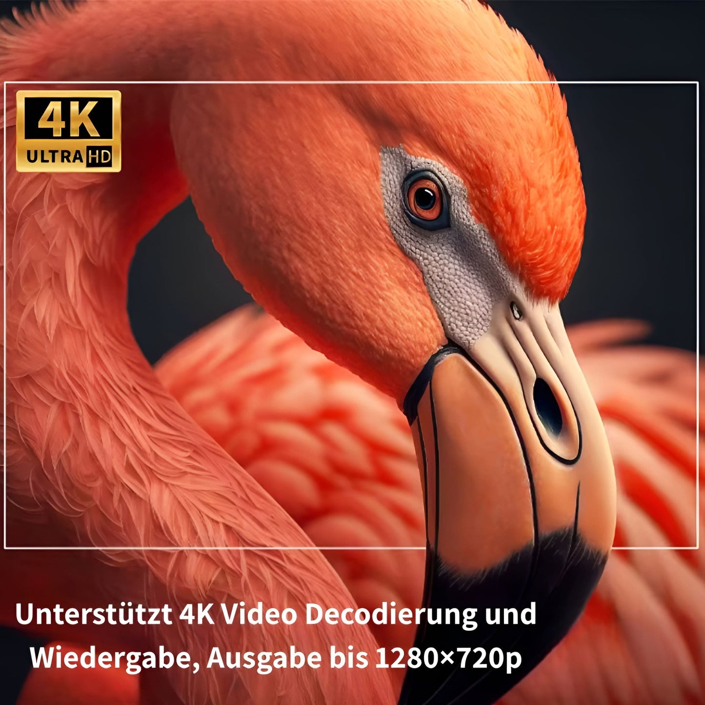 Vioris Cineon - Innovativer Projektor für magische Filmnächte