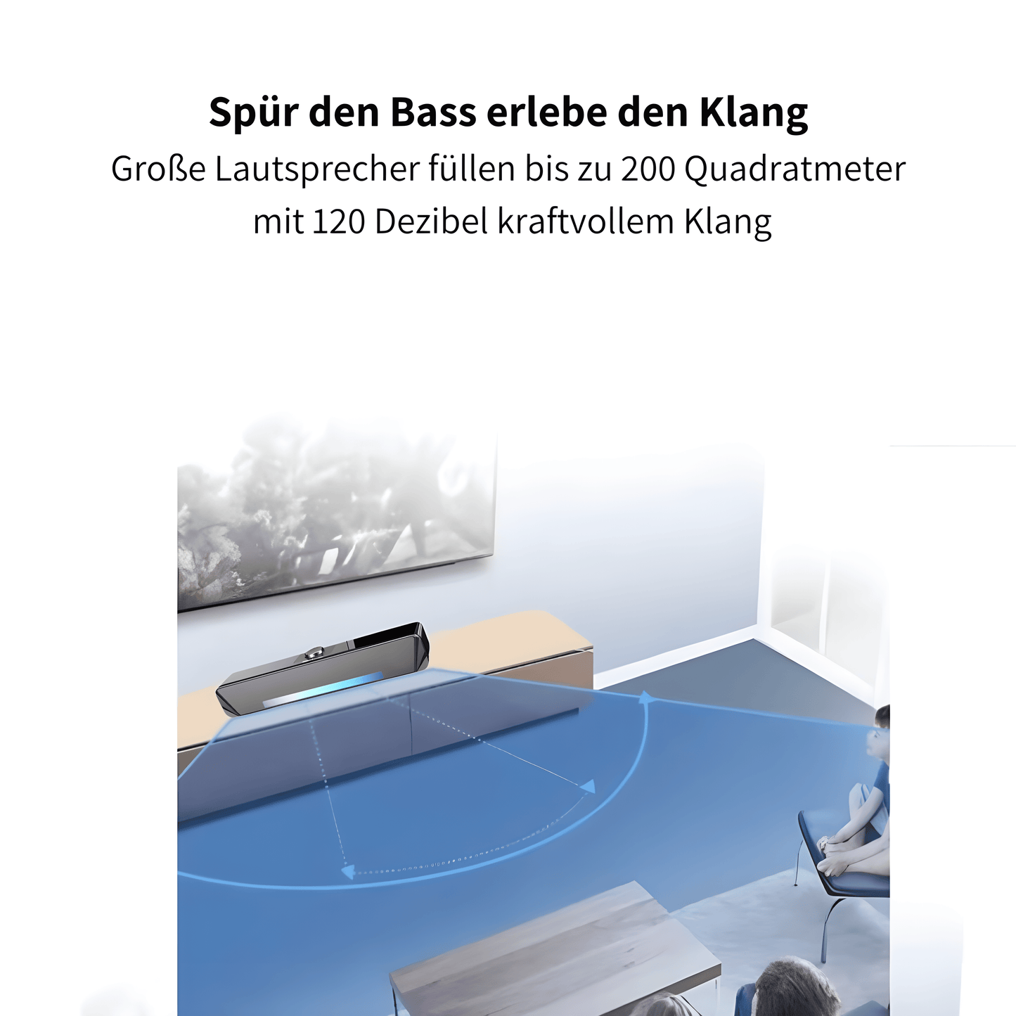 Vioris TS33 B - Das Herzstück Deines Heimkinos