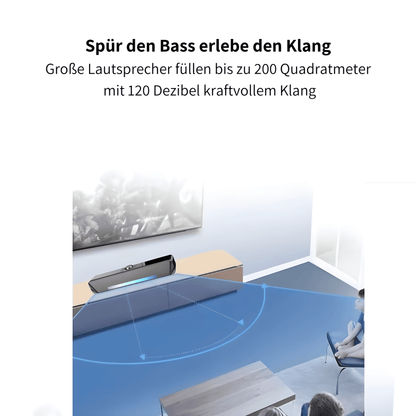 Vioris TS33 B - Das Herzstück Deines Heimkinos