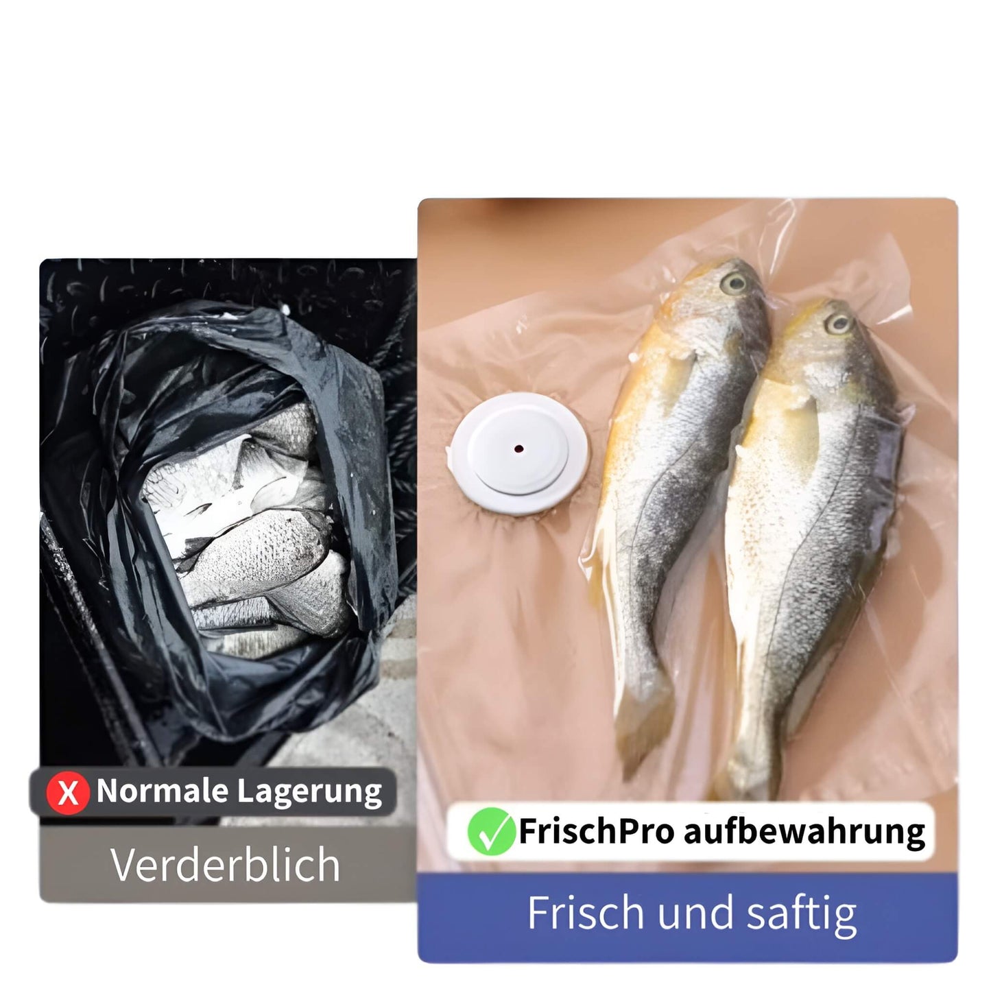 Vioris FrischPro – Wiederverwendbar, Luftdicht & Frisch